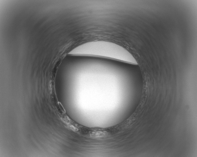 X0000080190716200612081200