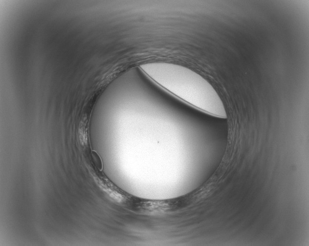 X0000080190719200612081200