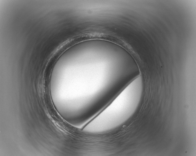 X0000080190722200612081159