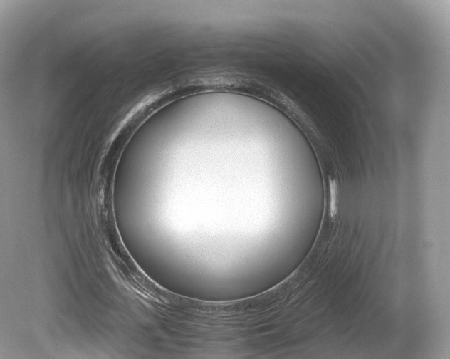 X0000080190723200612081159