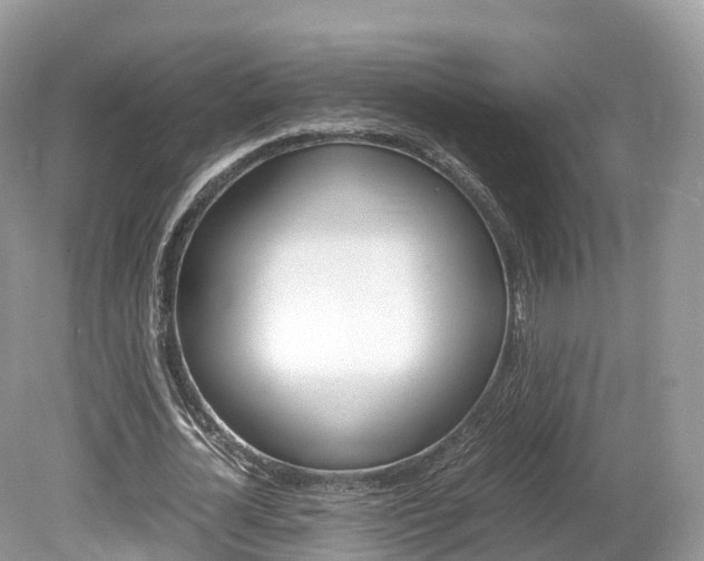 X0000080190724200612081159