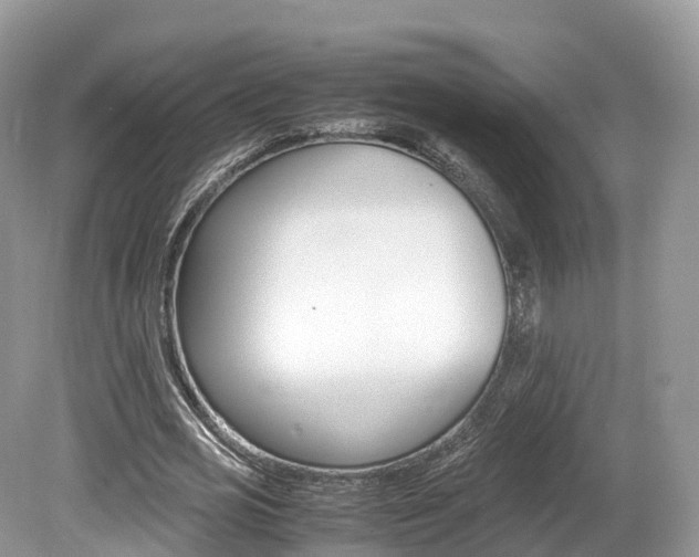 X0000080190725200612081159
