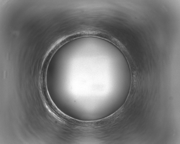 X0000080190726200612081159