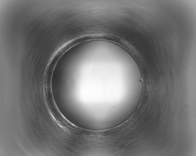 X0000080190728200612081159
