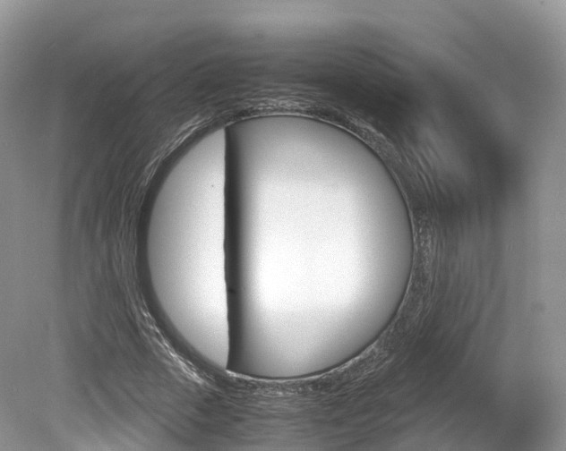 X0000080190729200612081159
