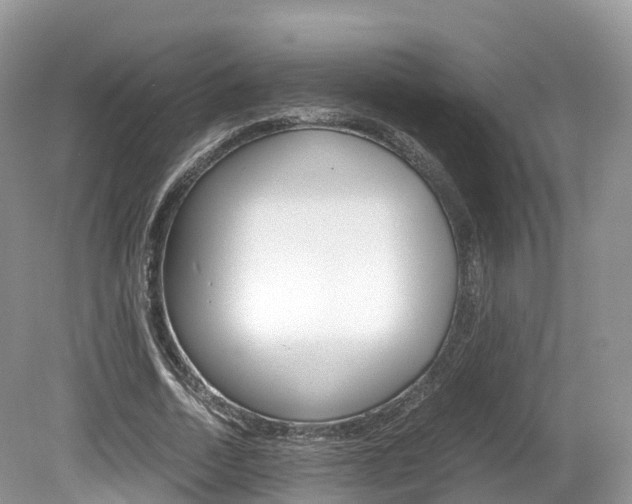 X0000080190730200612081159