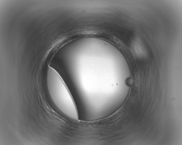 X0000080190731200612081159