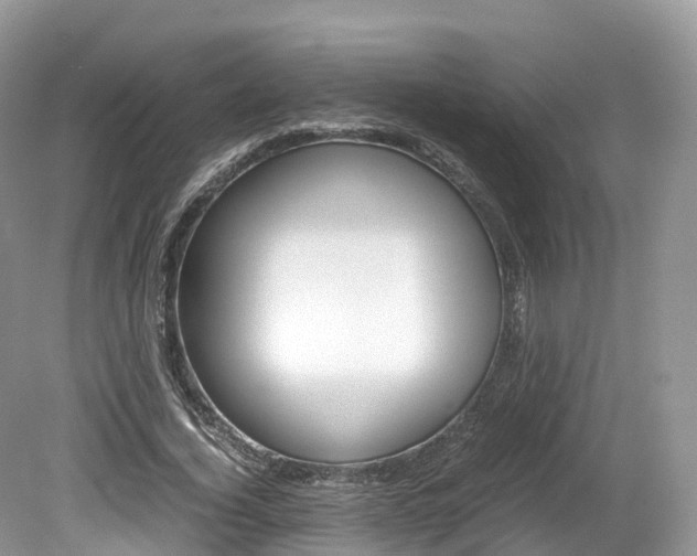 X0000080190732200612081159