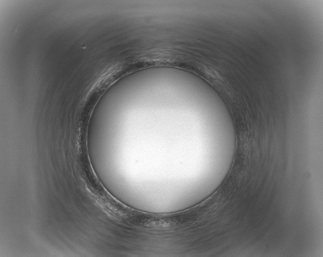 X0000080190735200612081159