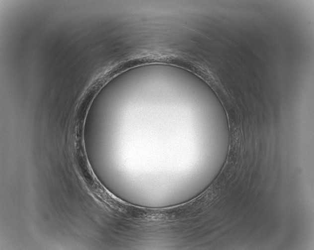 X0000080190736200612081159