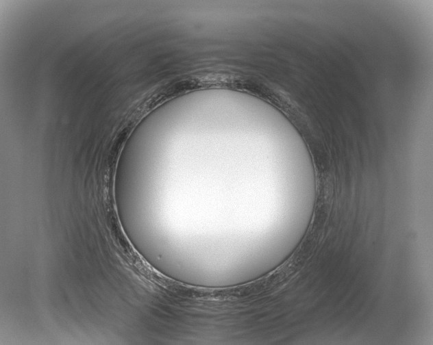 X0000080190737200612081159