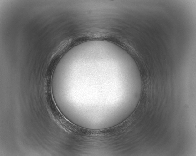 X0000080190738200612081159
