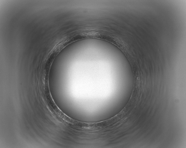 X0000080190739200612081159