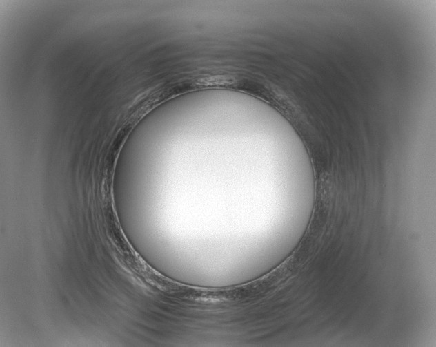 X0000080190741200612081159