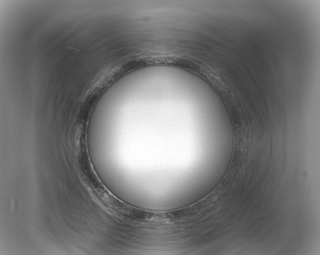 X0000080190742200612081159