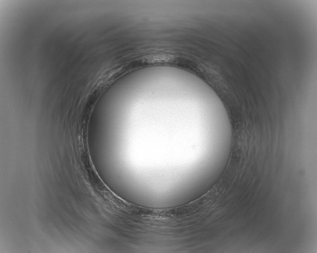 X0000080190743200612081159
