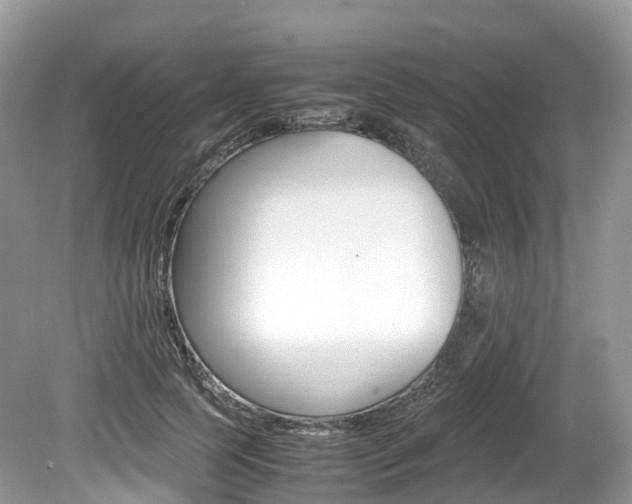 X0000080190745200612081159