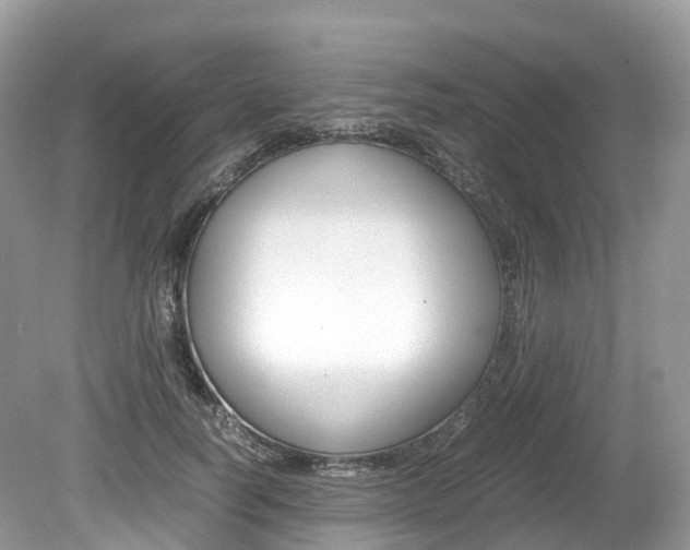 X0000080190746200612081159