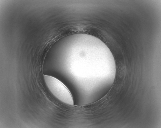 X0000080190747200612081159