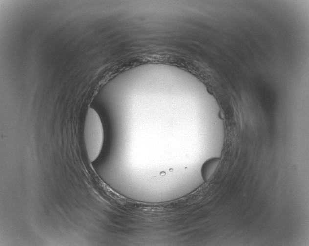 X0000080190749200612081159