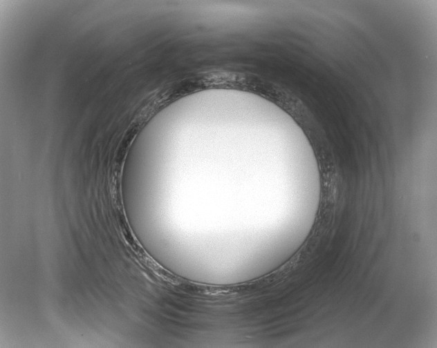 X0000080190753200612081200