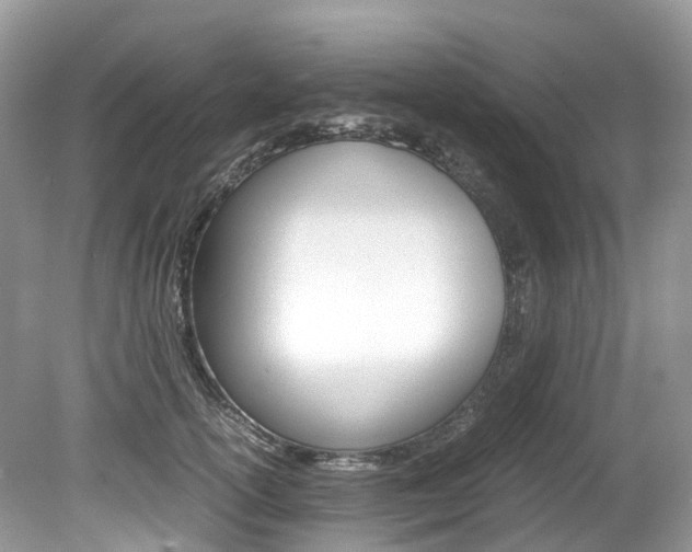 X0000080190754200612081200