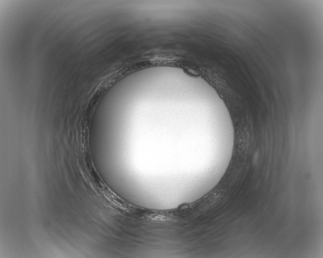 X0000080190755200612081200