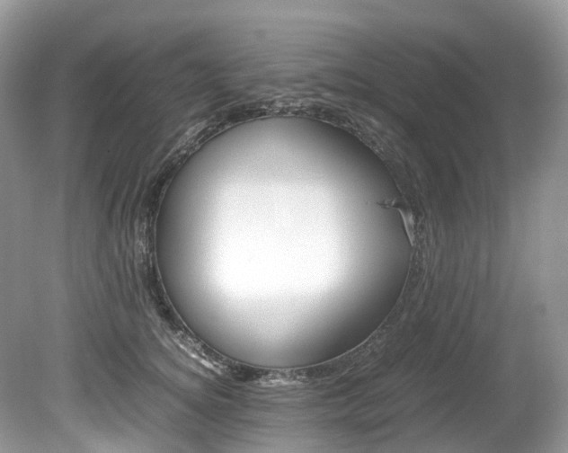 X0000080190756200612081200