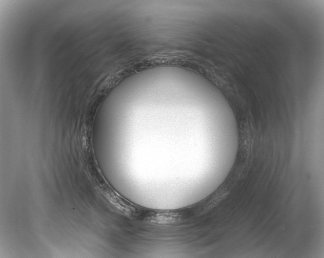 X0000080190758200612081200