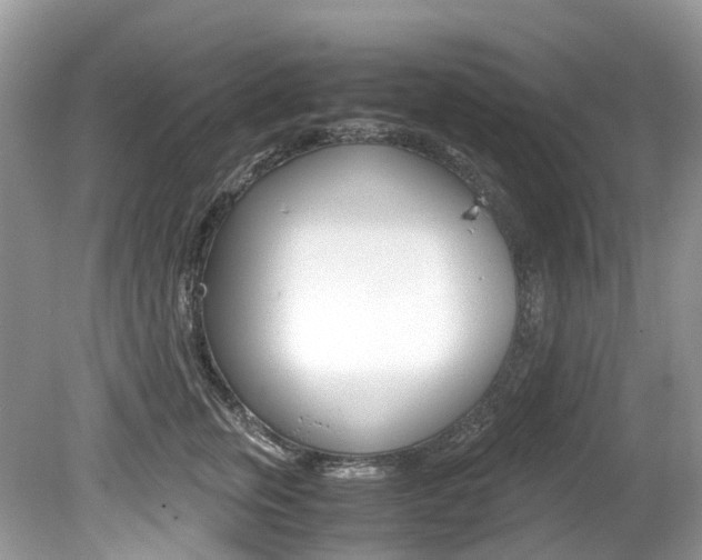 X0000080190759200612081200