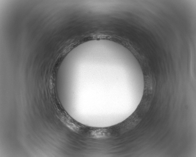 X0000080190761200612081200