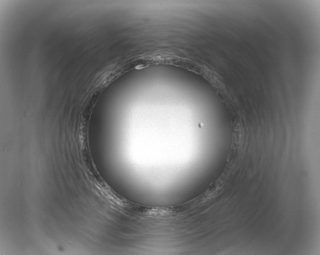 X0000080190762200612081200