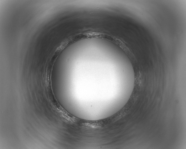 X0000080190763200612081200