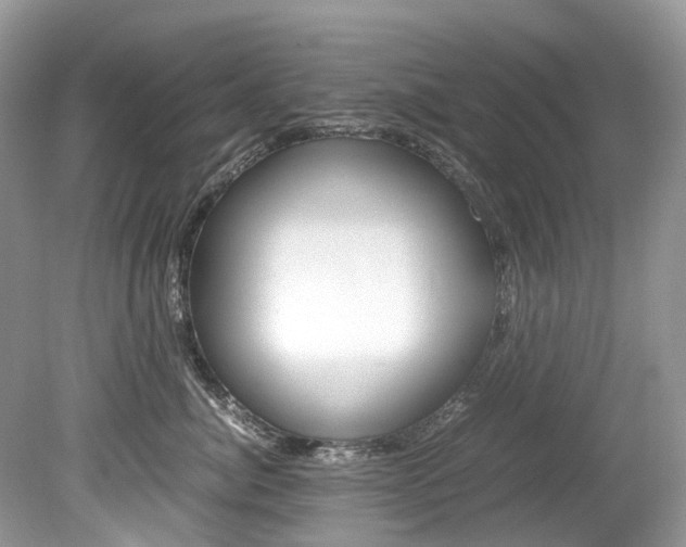 X0000080190764200612081200