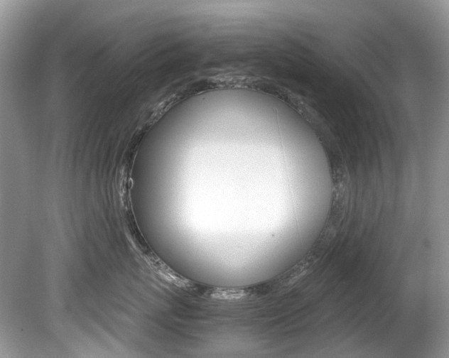 X0000080190767200612081200
