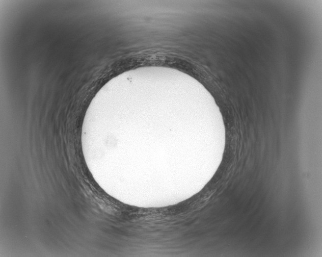 X0000080190769200612081159