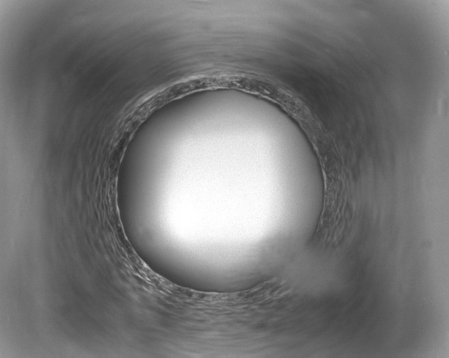 X0000080190773200612081159
