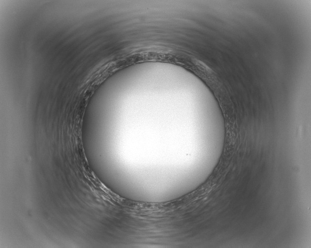 X0000080190774200612081159