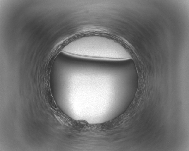 X0000080190775200612081159