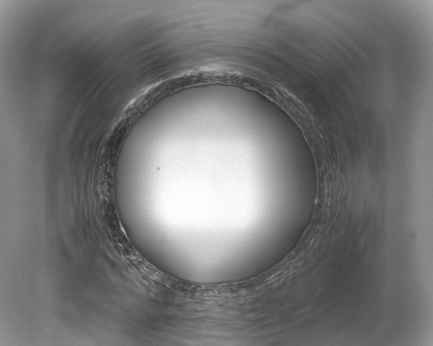 X0000080190776200612081159