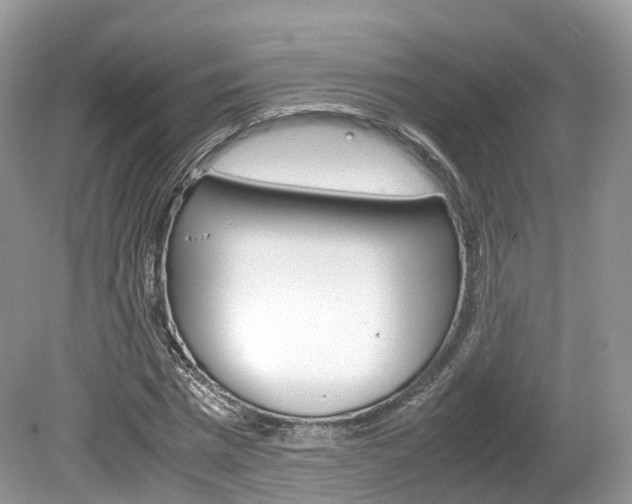 X0000080190777200612081159