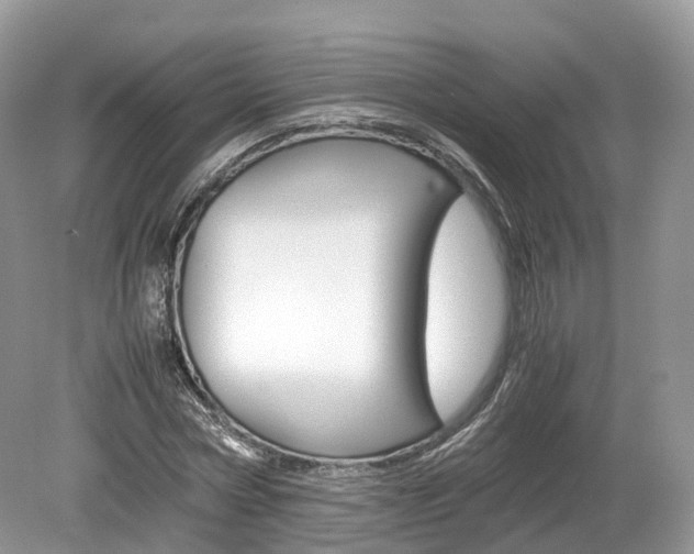 X0000080190778200612081159