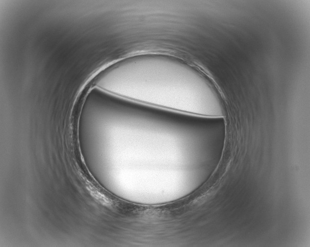 X0000080190779200612081159