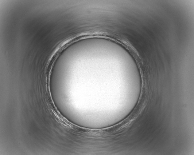 X0000080190781200612081159