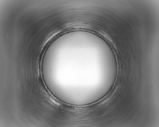 X0000080190782200612081159