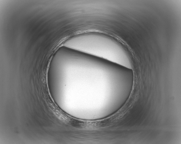 X0000080190785200612081159
