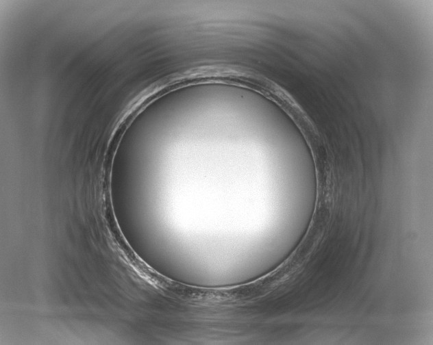 X0000080190786200612081159