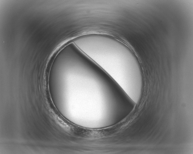 X0000080190787200612081159