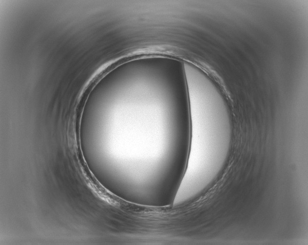 X0000080190792200612081159