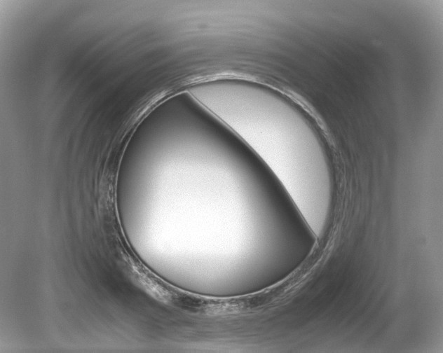 X0000080190793200612081159